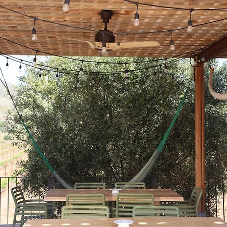 Alma Liebre Vinedos Del Valle Valle de Guadalupe Exterior photo