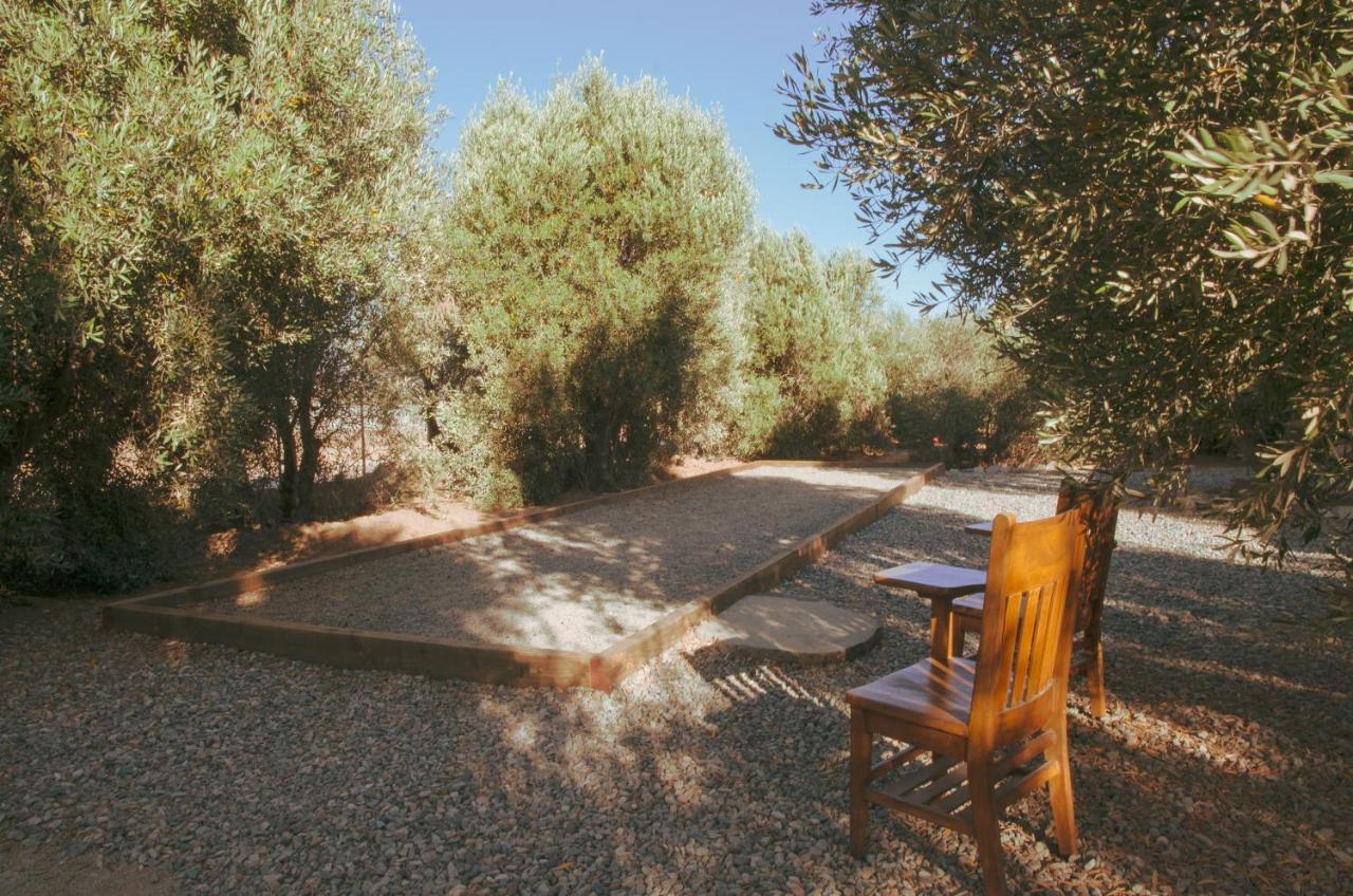 Alma Liebre Vinedos Del Valle Valle de Guadalupe Exterior photo