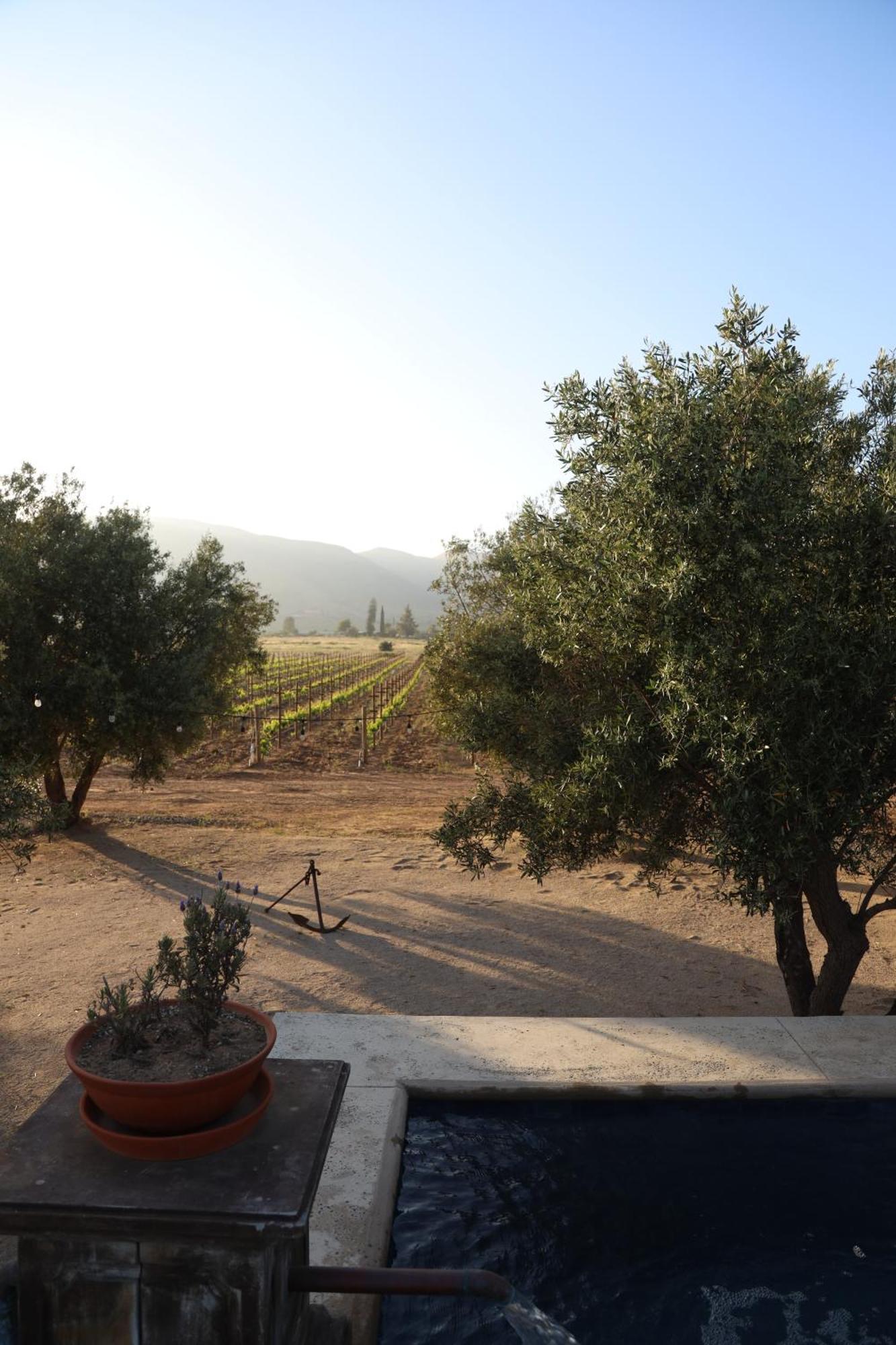 Alma Liebre Vinedos Del Valle Villa Valle de Guadalupe Exterior photo