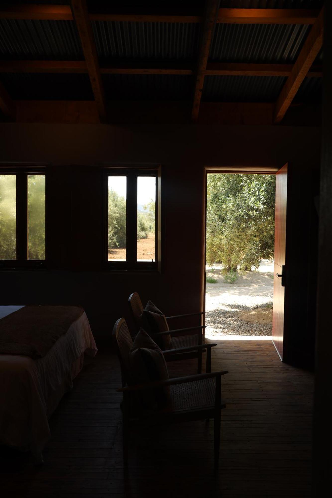 Alma Liebre Vinedos Del Valle Valle de Guadalupe Exterior photo